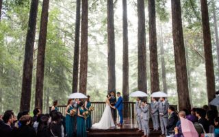 Bride and groom wedding ceremony surrounded by giant redwoods forest